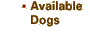 Available dogs