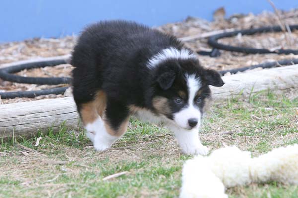 IMG_2022